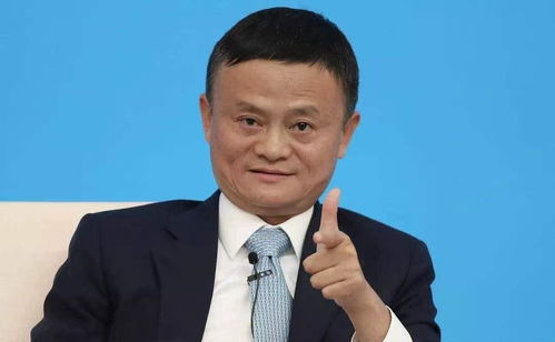 张雪峰谈电子商务转专业