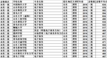 山东省电子商务专业代码